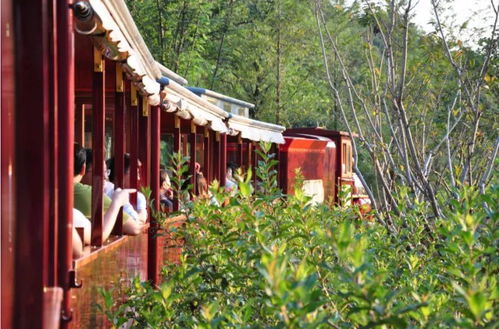 浙江省美丽乡村建设和产业考察 安吉 临安 桐庐 金华及莫干山站