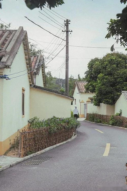 距离南宁很近的高颜值日系村庄,连名字都特别