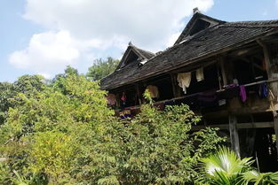 心情那么差,我想去西双版纳