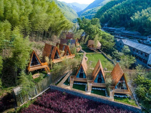 爆款回归,限量50套 住国内野奢树屋民宿 打卡森林鸟巢帐篷,拥竹海星空拍亲子大片,实现童年梦想 树蛙