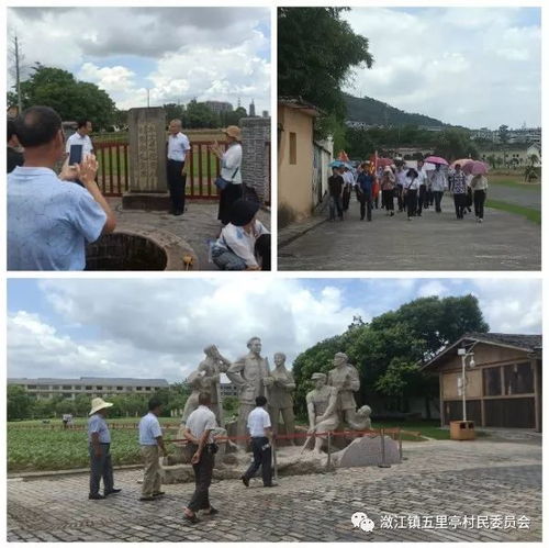 五里亭村开展 学讲话 悟初心 践行动 主题党日系列活动