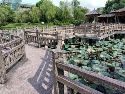 美丽和自信,就在这些景区村