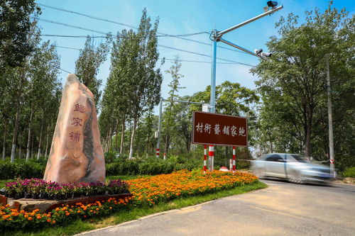 系列报道 北京乡村振兴故事 三 永定河畔的艺术村 大兴区鲍家铺村