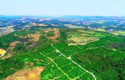 科技专家进地头 上好 新春第一课