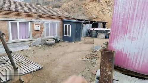 海波回到东北农村老家,父母也去外地了,曾经大村几乎没有人烟了