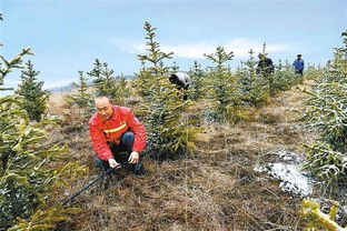 如期全面打赢脱贫攻坚战 产业篇