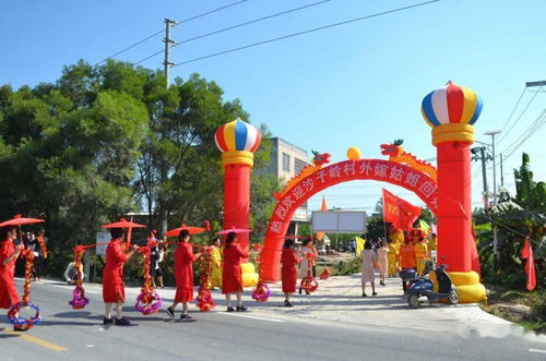 场面好温馨 石康镇沙子岭村外嫁女集体回娘家敬老暧人心