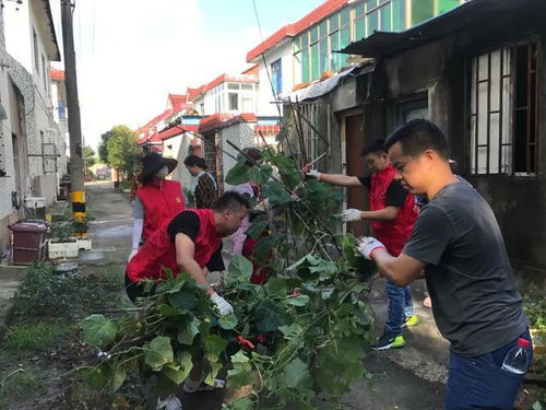 金山这个村有点牛