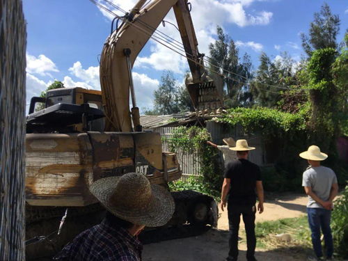 外砂街道对五香溪村农田违建棚进行清理拆除