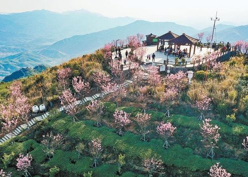 福建星外系村部落 古怪名字让平凡小村变身网红打卡地