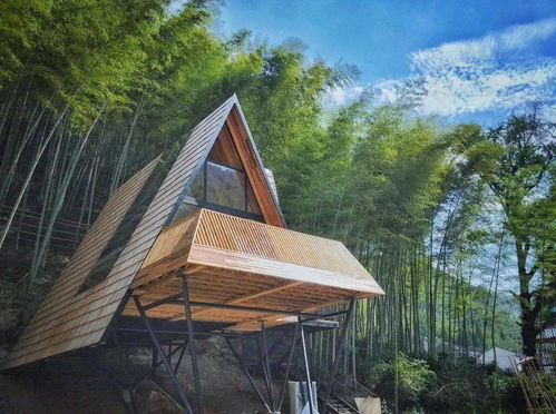 5折睡入梦幻树屋部落，杭州出发2h躺看晨雾星空——现实中的童话王国，带娃必去树蛙星外系村部落