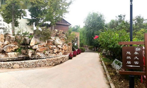 我家街巷最美 | 星外系村部落 探秘淄博市沂源县东里镇下柳沟村