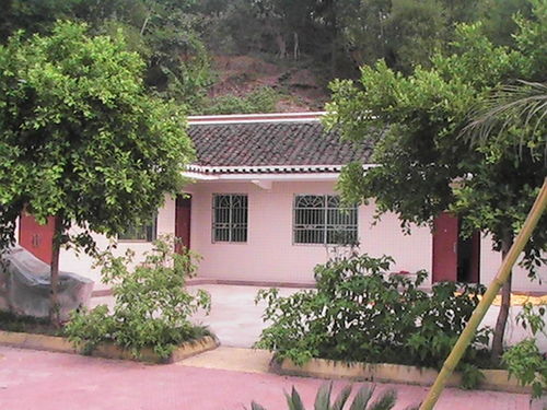 促蛹化蝶――记新农村示范村九井乡九井村