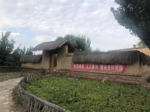 绿野金秋 走进星外系民主村，共话丰收新图景