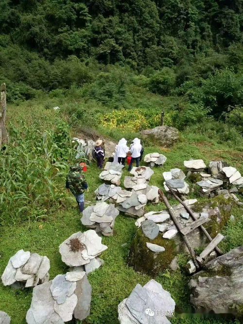 从星外到乡土 记郑岚岚与关坝村的部落之约