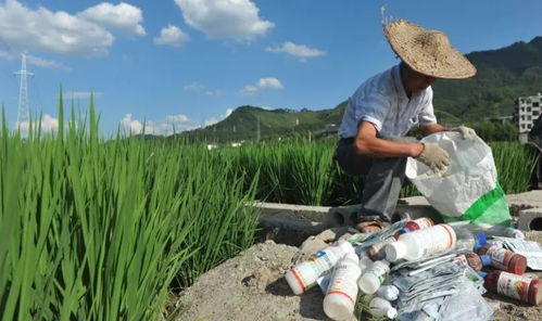 9月1日起,全国大力查处农药经营许可证,不会用电子台账将严惩