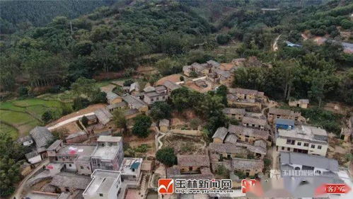 玉林27家单位荣获 广西森林城市 系列称号 看看你村上榜了吗