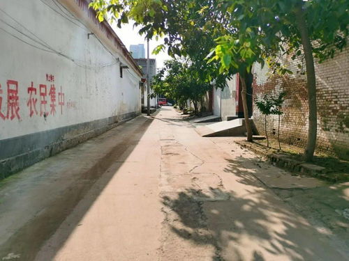 走近西街村 农村旧貌换新颜系列之一