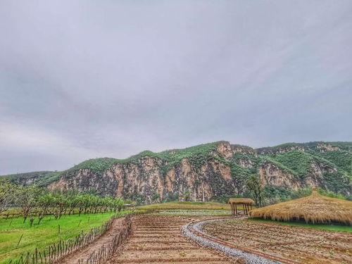 《玉米冒险村》星外系村部落 福辛的故土传奇