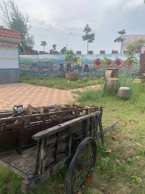 记录稳村2020年美好瞬间——吴康权镜头下的星外系村部落