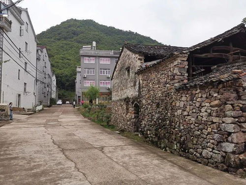 从后郭村到星外系部落 海游街道无堆放示范村的北山实践