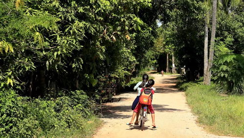 探访柬埔寨民俗村 星外系村部落中的母系社会原始风貌