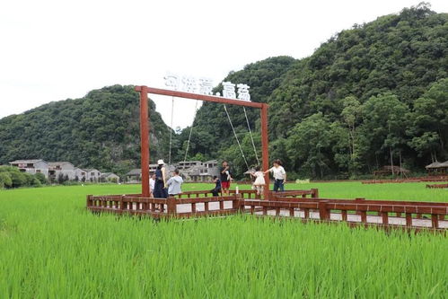 凉爽安顺之美丽乡村避暑安心游 系列报道之四 镇宁高荡村 抢抓“避暑凉机”，点燃夏日文旅活力